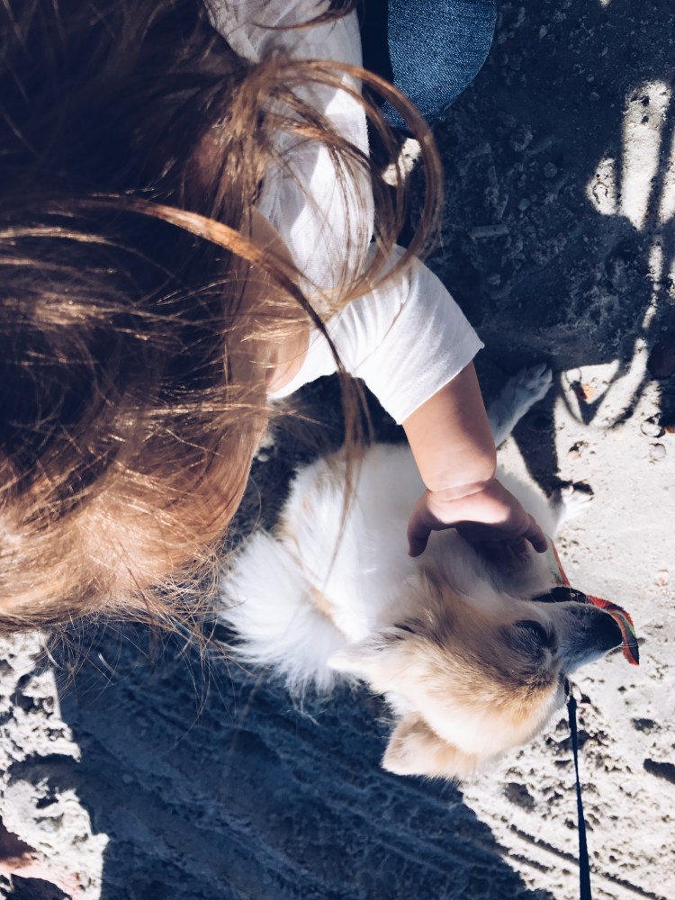 Processed with VSCO with a5 preset